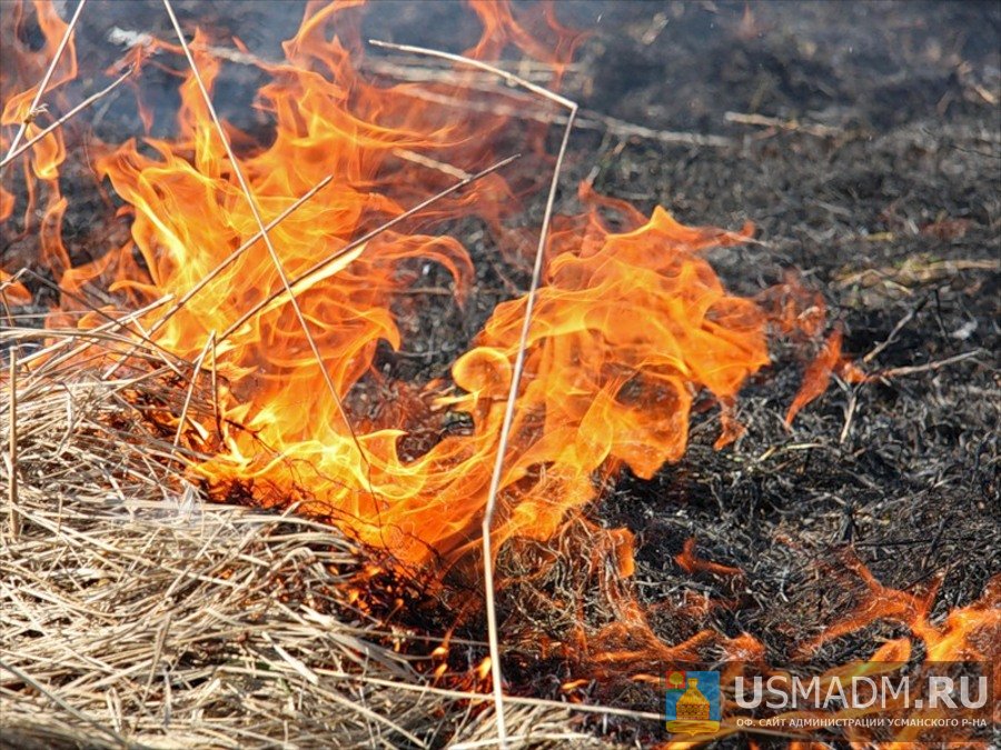 Пожарные 1,5 тысячи раз выезжали на тушение сухой травы