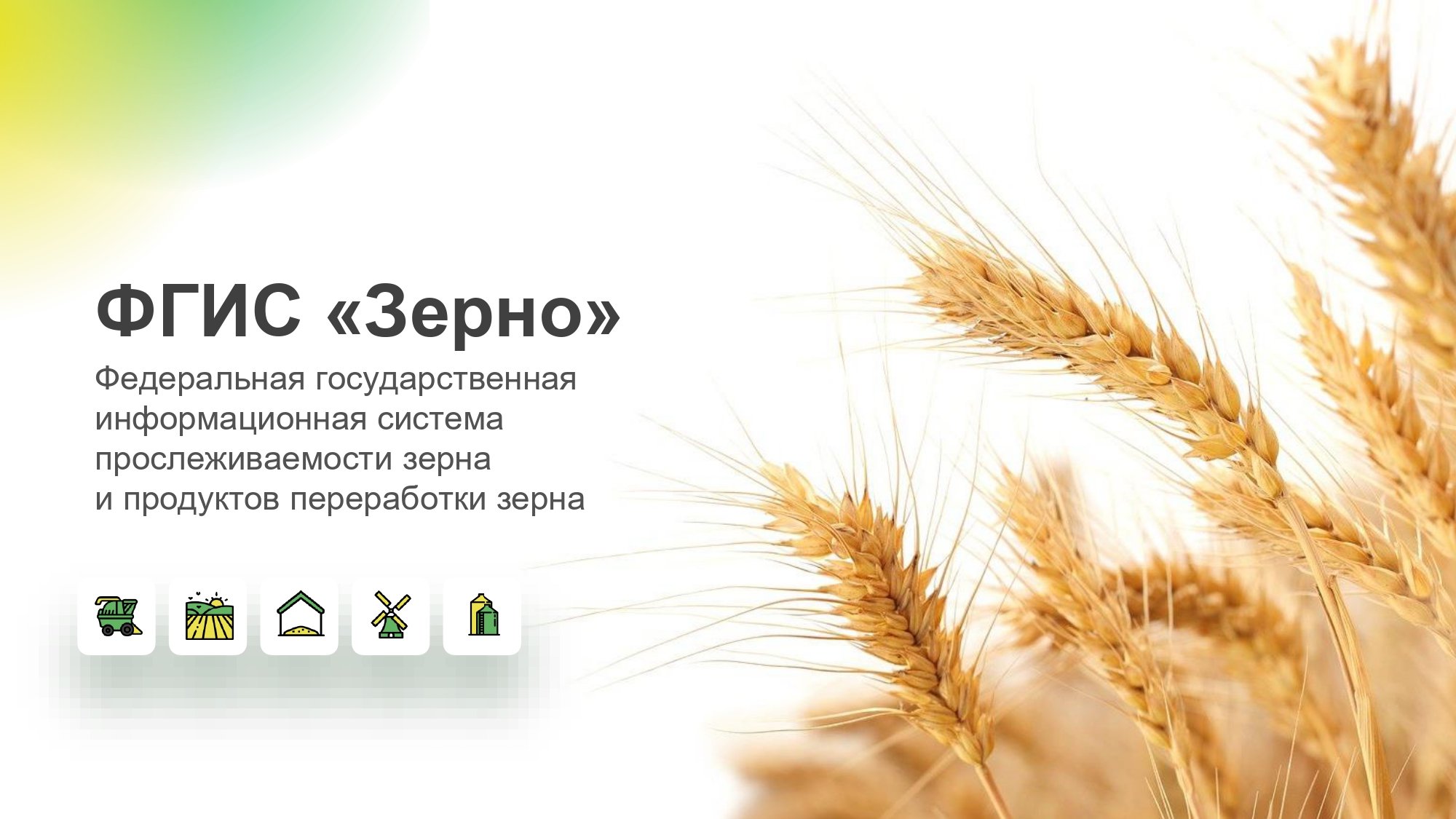 ФГИС "Зерно"