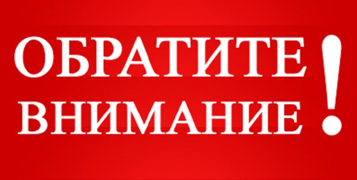 Декларации об объеме оборота розничной продажи алкогольной, в том числе пива и пивных напитков