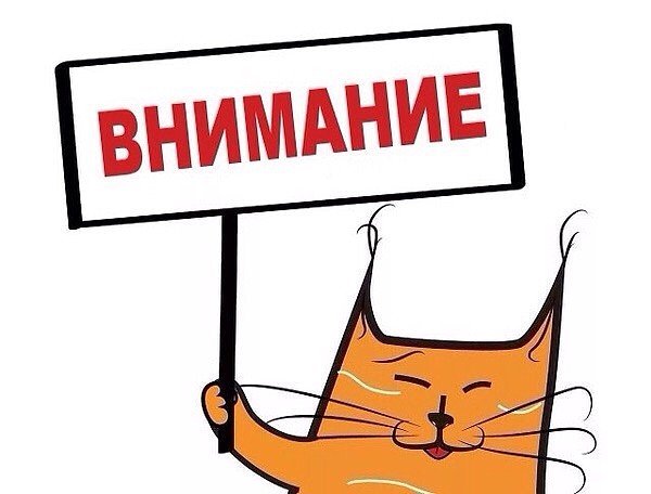 Для предпринимателей осуществляющих розничную продажу алкогольной и спиртосодержащей продукции