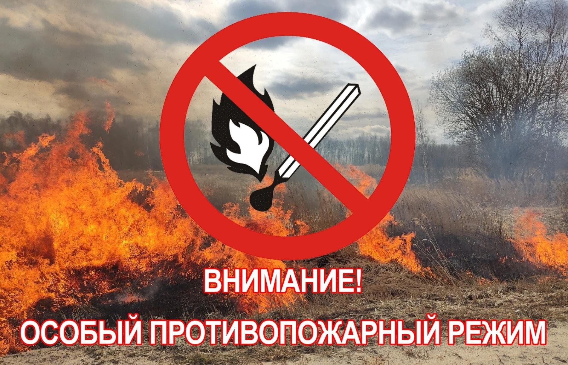 О введении особого противопожарного режима